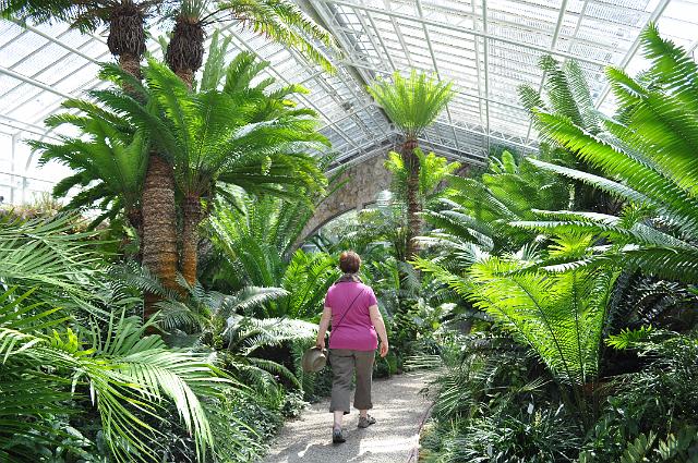 Muenchen 2011 516.jpg - München Botanischer Garten